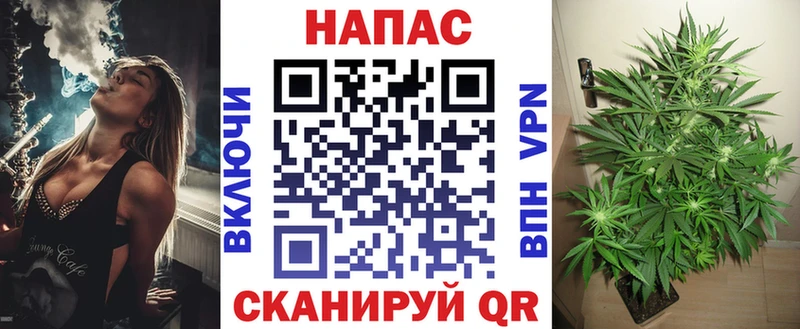 Как найти наркотики Тара ГАШИШ  МАРИХУАНА  Псилоцибиновые грибы  МЕФ  Alpha-PVP 