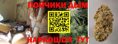 сатива Кандалакша