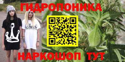 синтетический гашиш Камышлов