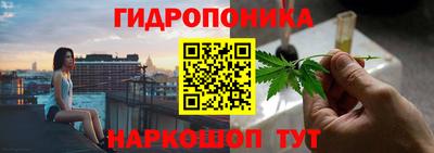 синтетический гашиш Камышлов