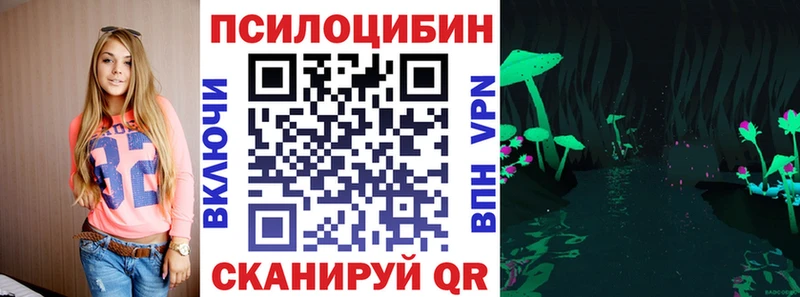 купить  цена  Тара  Псилоцибиновые грибы Cubensis 